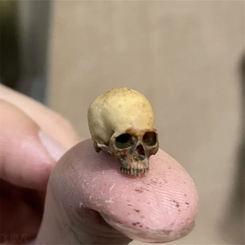 Mini Skull High Quality Miniat - đánh giá và giá Aquarium Plant Nursery