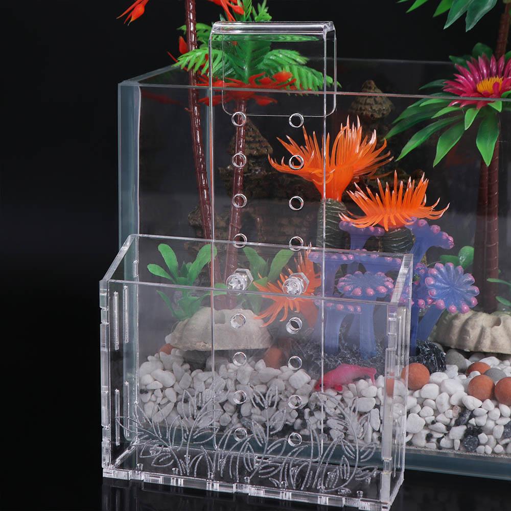 Wall Hanging Aquarium Plants C - đánh giá và giá Aquarium Planted Wall