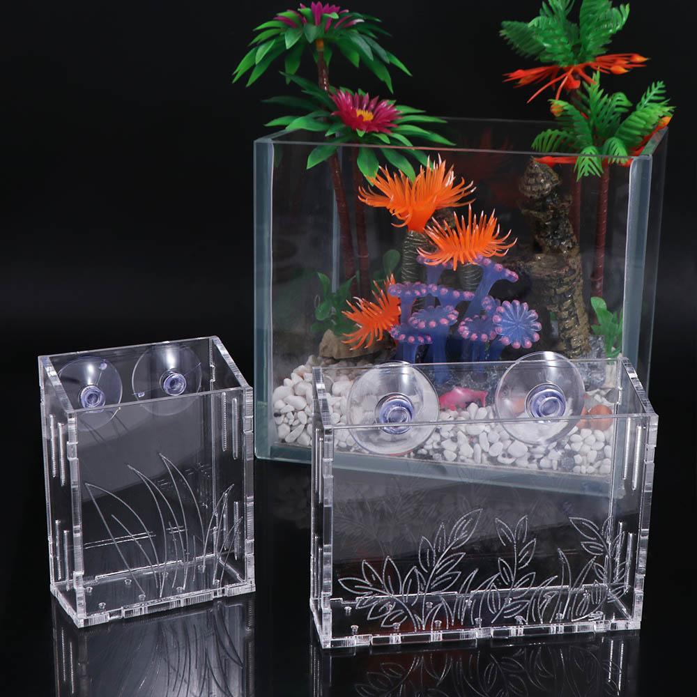 Wall Hanging Aquarium Plants C - đánh giá và giá Aquarium Planted Wall