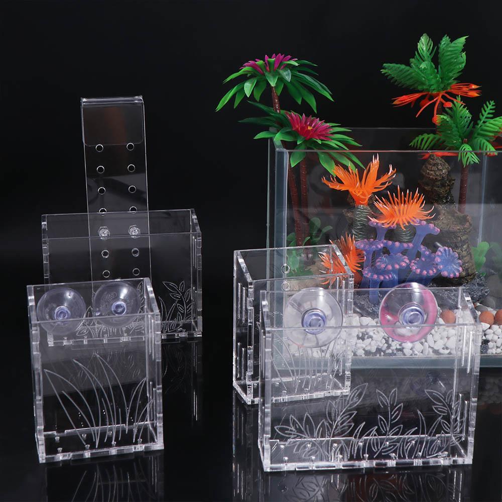 Wall Hanging Aquarium Plants C - đánh giá và giá Aquarium Planted Wall
