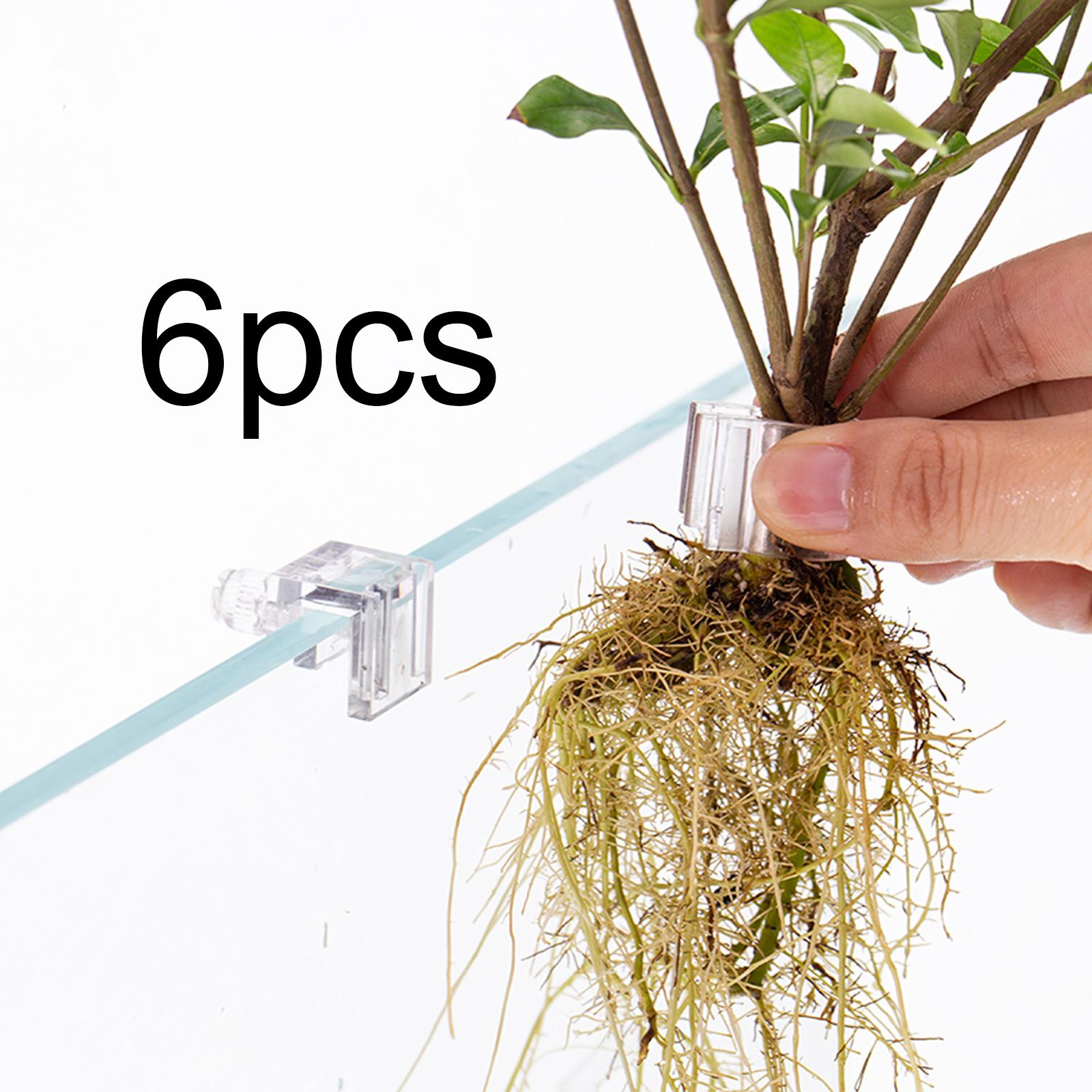 Durable Transparent Plant Hold - đánh giá và giá Aquarium Planted Wall