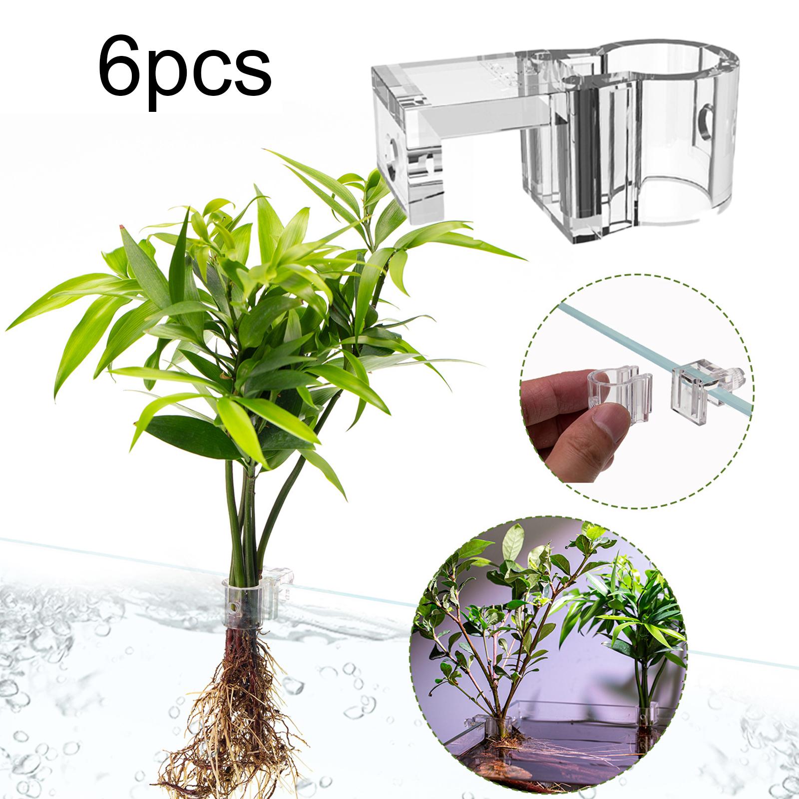 Durable Transparent Plant Hold - đánh giá và giá Aquarium Planted Wall