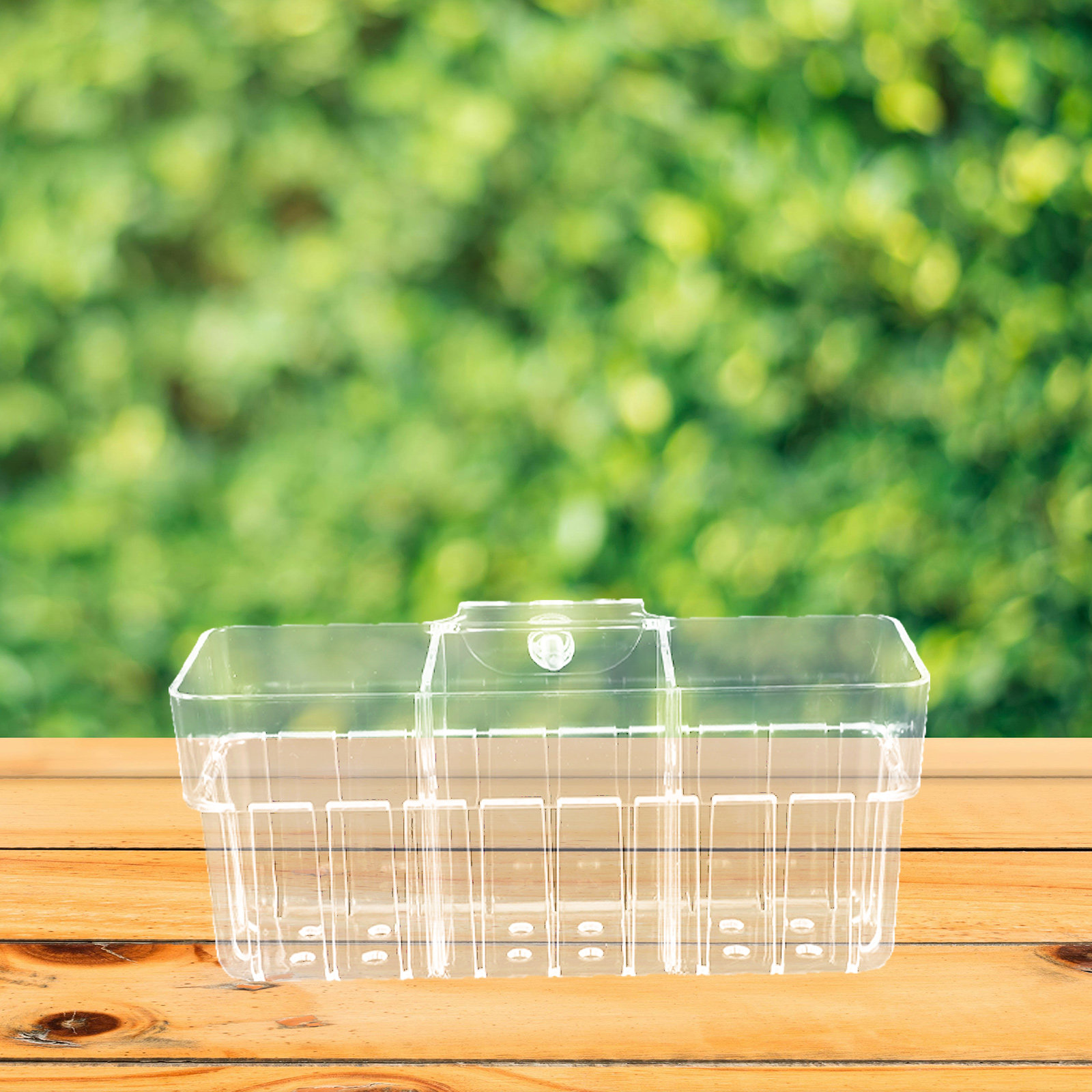 Clear Hydroponic Plant Basket  - đánh giá và giá Aquarium Planted Wall