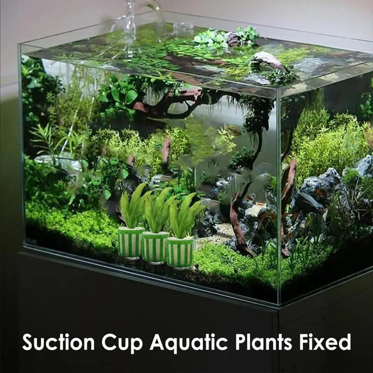 ABNQ Aquatic Plant Fixed Holde - đánh giá và giá Planted Aquarium Tool Kit