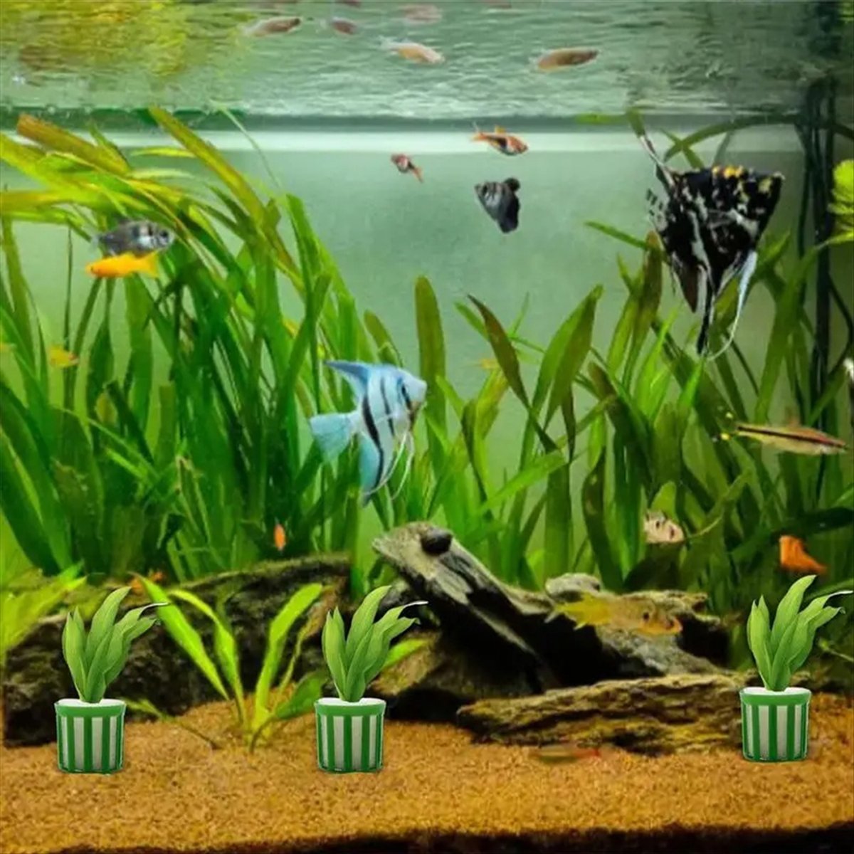 ABNQ Aquatic Plant Fixed Holde - đánh giá và giá Planted Aquarium Tool Kit