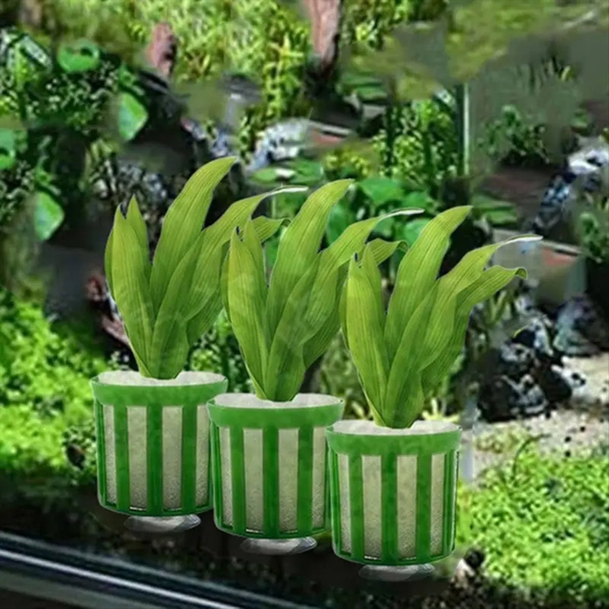 ABNQ Aquatic Plant Fixed Holde - đánh giá và giá Planted Aquarium Tool Kit