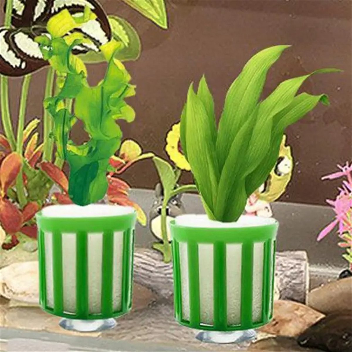 ABNQ Aquatic Plant Fixed Holde - đánh giá và giá Planted Aquarium Tool Kit