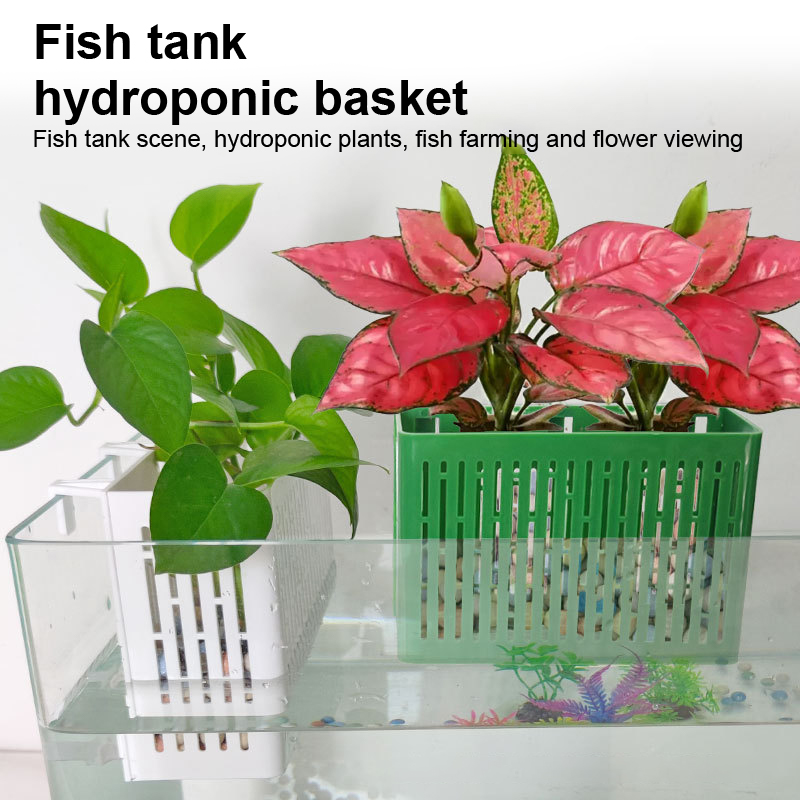 【F】Fish Tank Hanging Planter A - đánh giá và giá Aquarium Plant Nursery