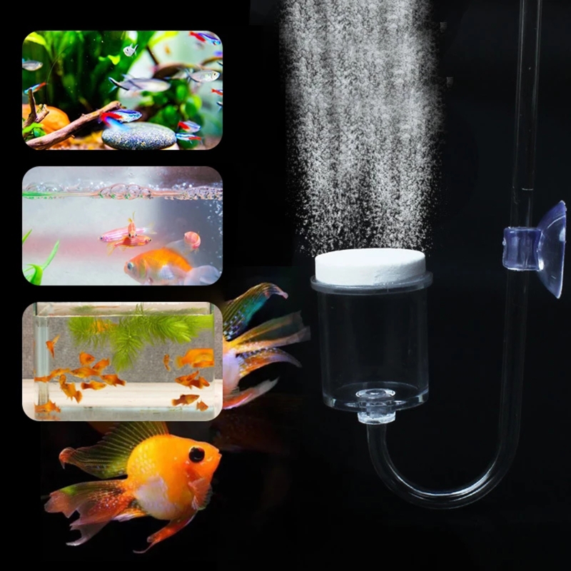 4pcs Set DIY CO2 Diffuser For  - đánh giá và giá Aquarium Plant Nursery