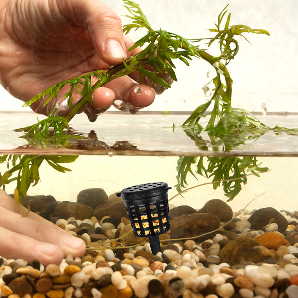 120Pcs Fertilizer Basket Lid P - đánh giá và giá Planted Aquarium Fertilizer
