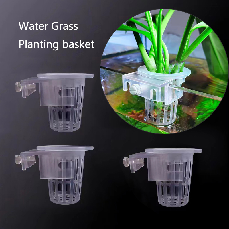 Aquarium Planting Basket Hydro - đánh giá và giá Aquarium Planted Wall