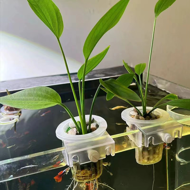 Aquarium Planting Basket Hydro - đánh giá và giá Aquarium Planted Wall