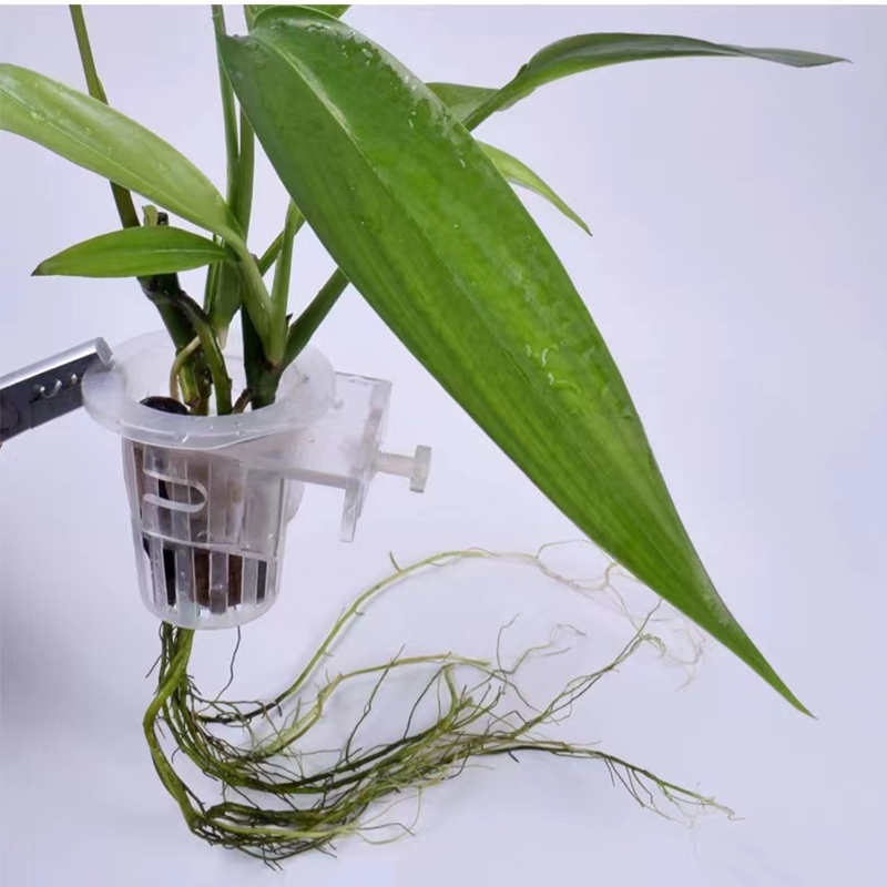 Aquarium Planting Basket Hydro - đánh giá và giá Aquarium Planted Wall