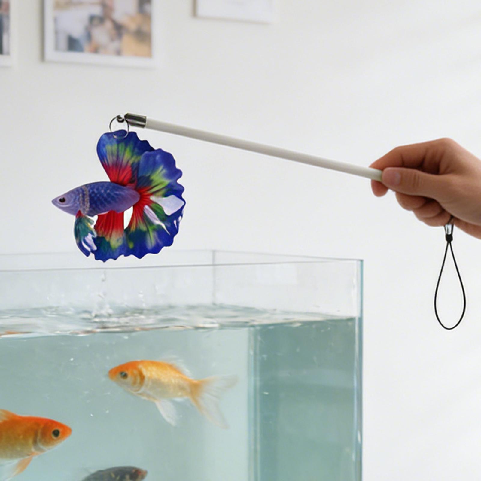 Fish Training Stick Realistic  - đánh giá và giá Planted Aquarium For Beginners