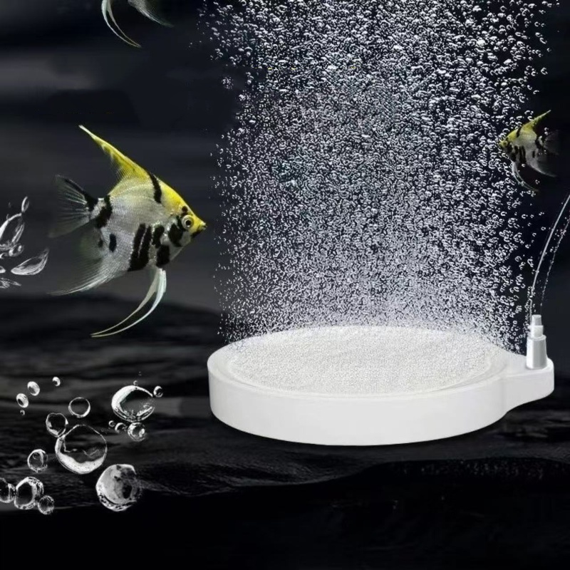 Nano Disc Air Stone Oxygen Aer - đánh giá và giá Planted Aquarium Accessories