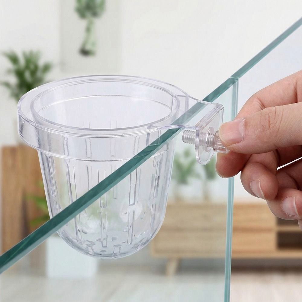 Transparent Fish Tank Grass Cu - đánh giá và giá Aquarium Planted Wall