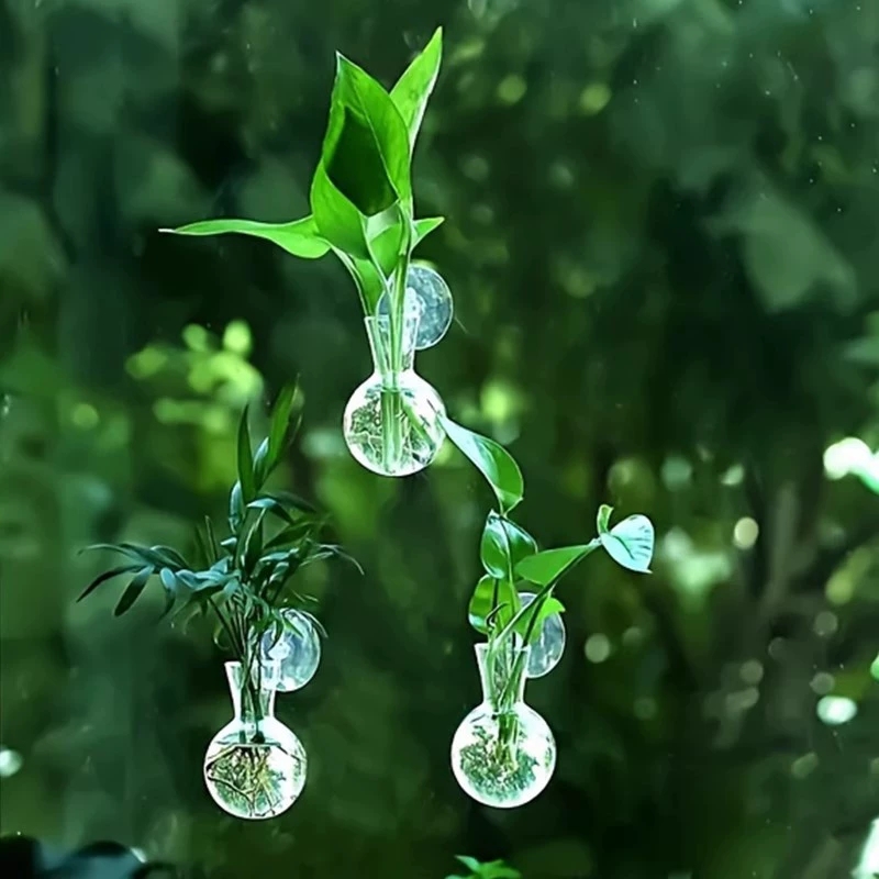 Creative Semi Circular Class W - đánh giá và giá Aquarium Planted Wall