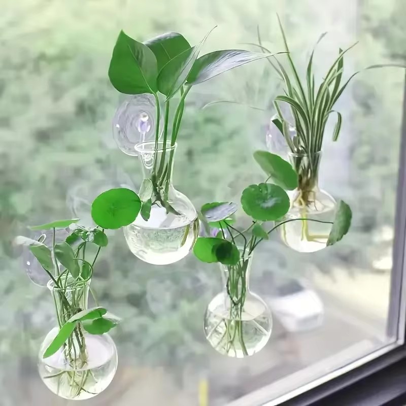 Creative Semi Circular Class W - đánh giá và giá Aquarium Planted Wall