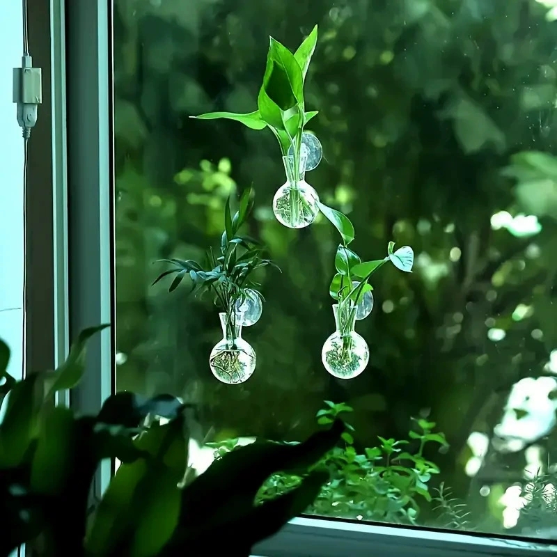 Creative Semi Circular Class W - đánh giá và giá Aquarium Planted Wall