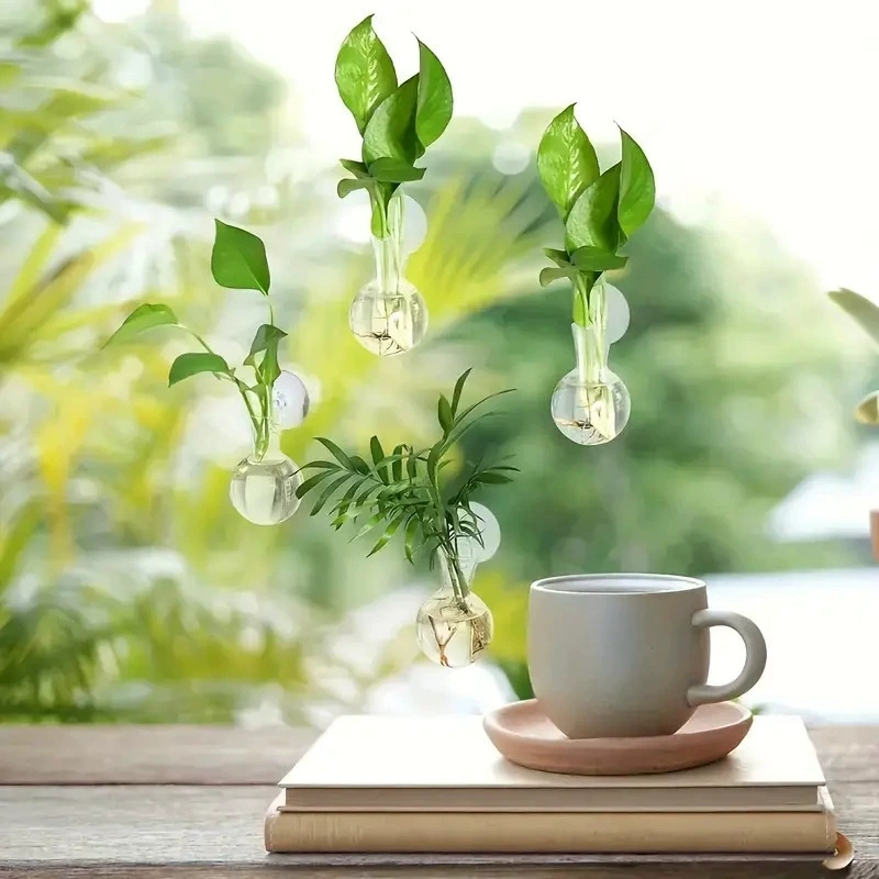 Creative Semi Circular Class W - đánh giá và giá Aquarium Planted Wall